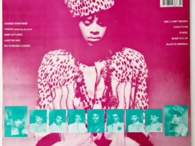 виниловая пластинка Jesse Johnson – Shockadelica