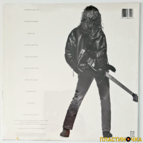 виниловая пластинка Robbie Nevil – A Place Like This