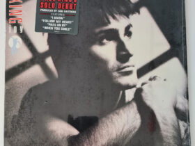 виниловая пластинка Paul King – Joy