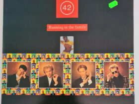 виниловая пластинка Level 42 – Running In The Family