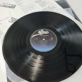 виниловая пластинка Paul King – Joy