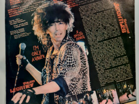 виниловая пластинка Валерий Леонтьев – Я Просто Певец