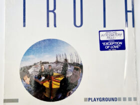 виниловая пластинка The Truth – Playground