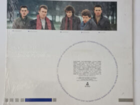 виниловая пластинка The Truth – Playground