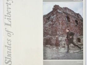 виниловая пластинка Silent Running – Shades Of Liberty