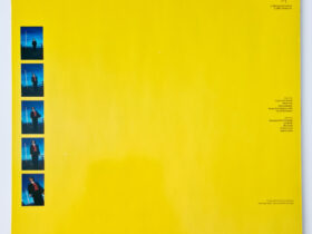 виниловая пластинка Feargal Sharkey – Wish