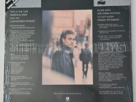 виниловая пластинка Dennis De Young – Back To The World