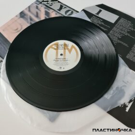 виниловая пластинка Dennis De Young – Back To The World