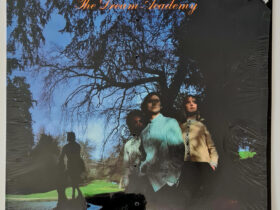 виниловая пластинка The Dream Academy – The Dream Academy