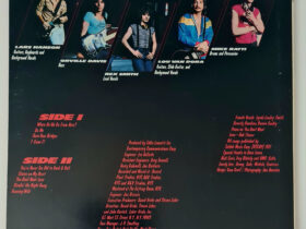 виниловая пластинка Rex – Where Do We Go From Here?