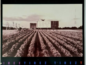 виниловая пластинка Tirez Tirez – Social Responsibility