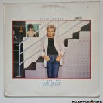 виниловая пластинка David Cassidy – The Last Kiss