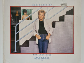 виниловая пластинка David Cassidy – The Last Kiss