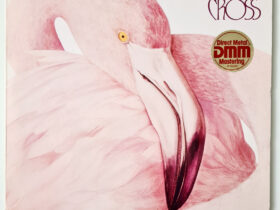 виниловая пластинка Christopher Cross – Another Page