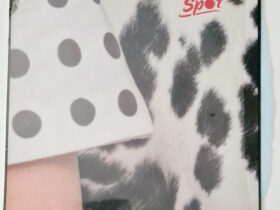 пластинка the planets – spot