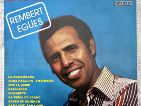 LD-3822 винил Ремберт Эгес