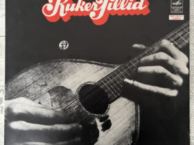 Ansambel «KukerPillid» винил