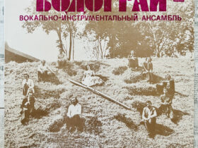 Водограй винил