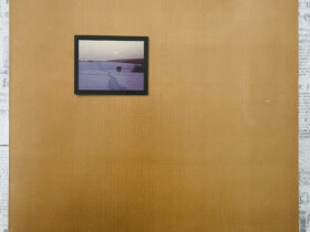 градский винил купить