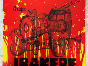 Група иракере винил