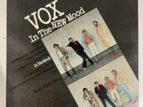 vox винил