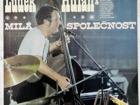 Людек хулан винил