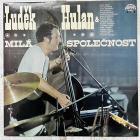 Людек хулан винил