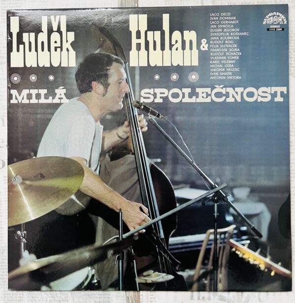 Людек хулан винил