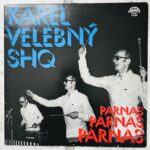 Парнас винил