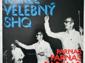 Парнас винил