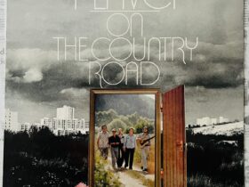 группа пловцы