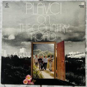 группа пловцы