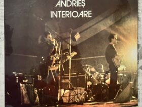 Alexandru Andrieș – Interioare