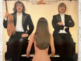 винил Transformations II