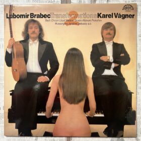 винил Transformations II