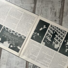 винил Гершовиц