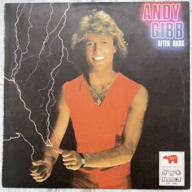 Andy Gibb – After Dark — изображение 1