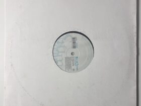 David Tavaré – Summerlove — изображение 1