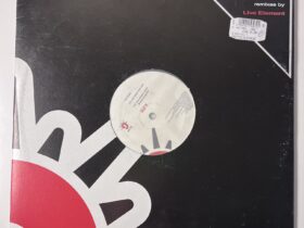 Sal Basile – Feel It — изображение 1