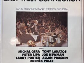 винил Вацлав Заградник