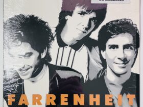 винил фаренгейт