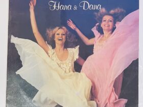 винил хана и дана