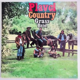 плавцы винил